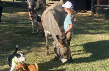 Le bon chemin Ateliers - Foto 14