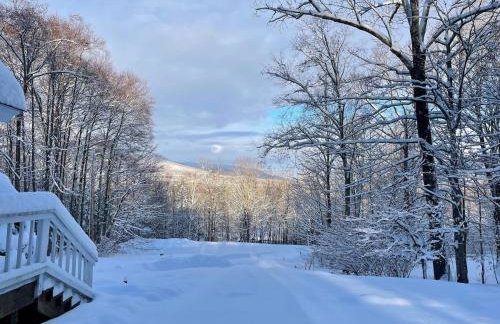 Green Mountain Sanctuary - An Artful Vermont Home - Foto 44