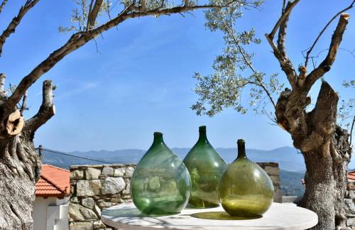 MOM'S RETREAT - Photo 33