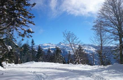 GITE LES 3 EDELWEISS - Maison SEGUITTE - 6 PERSONNES - Foto 19
