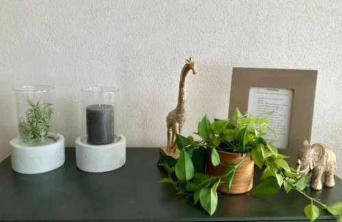 Ferienwohnungen Familie Schmidt - Foto 38