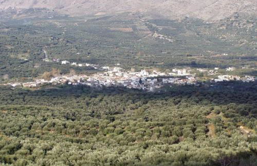 Marios house - Foto 63