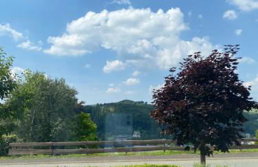 Ferienwohnung Allenberg-Panorama - Foto 10