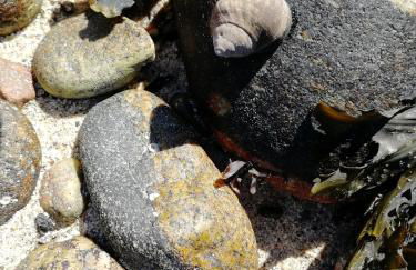 The Fisherman's Snug self catering North Uist - Foto 75