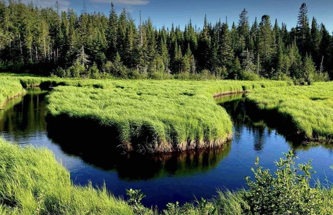 St-Sauveur Lovely Studio - Photo 53