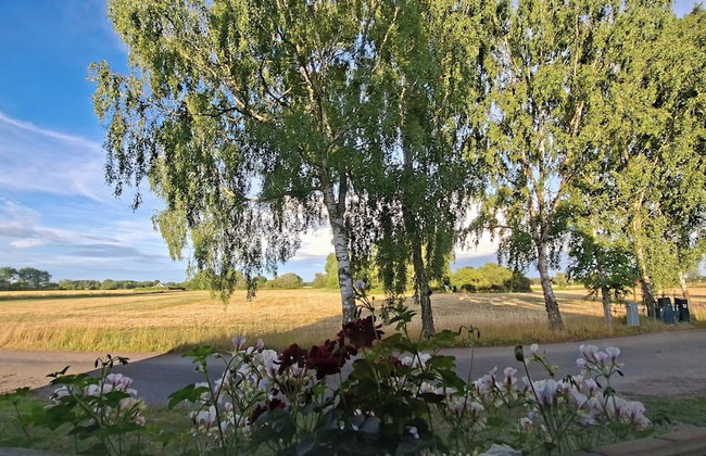 1 Bed Flat - Sleeps 3 - Pets - Parking - Wifi - Foto 14
