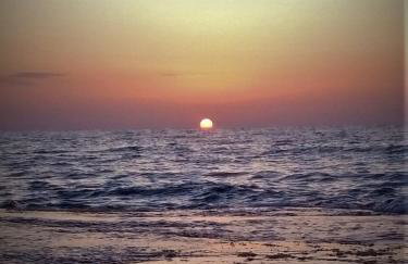 View West Elafonisi house - Foto 33