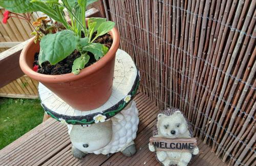 The Viewpoint - Foto 42