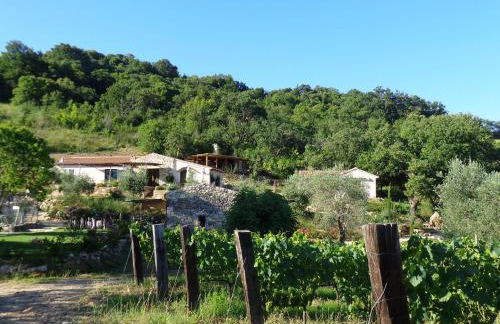 Agriturismo Fontenuova - Foto 26