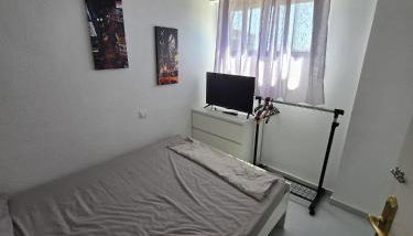 Bostina Properties - Foto 3