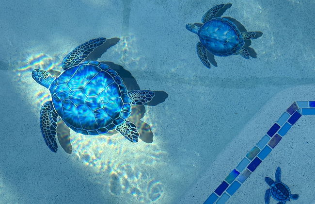 Suffolk Place - Foto 42