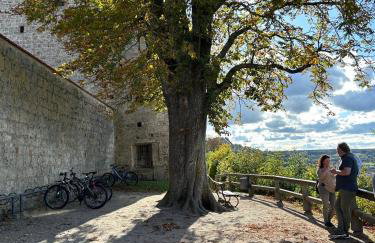 FEWO-LAVEES moderne zentrale FeWo nahe OMV Wacker Kliniken Burg -Eigener Eingang-Schlüsselloser Check in - Foto 47