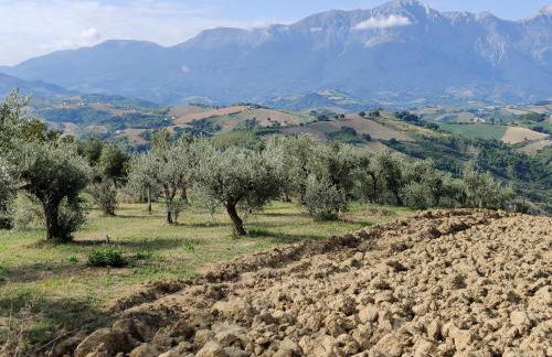 Casa Martin , 4 bedroom villa - Foto 65