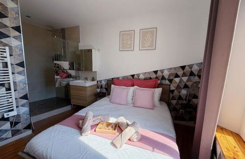 Nancy elegance Cocooning apartment - Foto 27