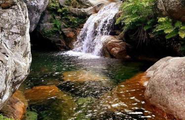 Maison de Plage à pied San Cipriano 5 pers - Foto 14