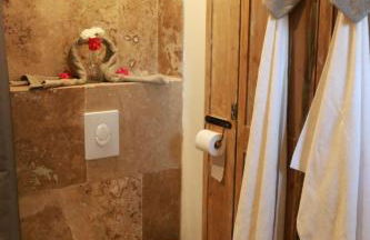 L'Orgalière Alpilles - Foto 30