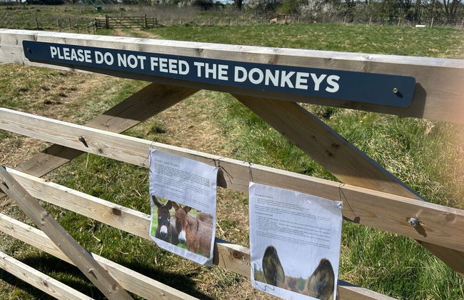 Luxury Shepherds Hut Near Glamorgan Coast - Foto 18