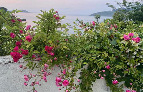 Mundaka Beachfront House - Foto 53