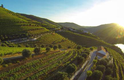 Quinta São Luiz The Vine House Douro - Foto 76