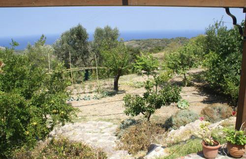 O Ioannis - Photo 39