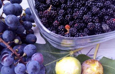 Apartman Milutin - Foto 26