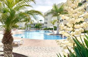 Apartamento Las Palmeritas Palm Mar Tenerife Sur - Foto 1