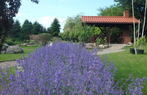 U Aptekarzy - Foto 42