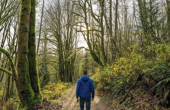Postcard Cabins Skagit Valley, Outdoor Collection by Marriott Bonvoy - Foto 59