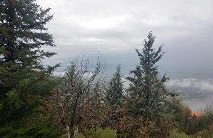 Ipati Forest Chalet - Foto 55