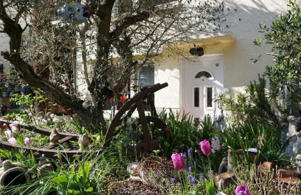 Ferienwohnung Palmengarten Bad Honnef - Foto 1