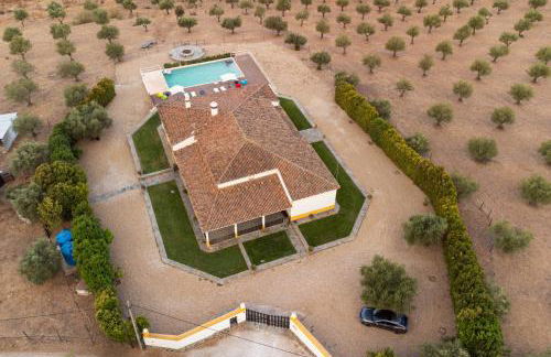 Monte Ribeira de Mures - Foto 1