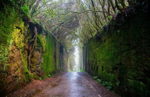 Radazul Beachfront apartment - Foto 51