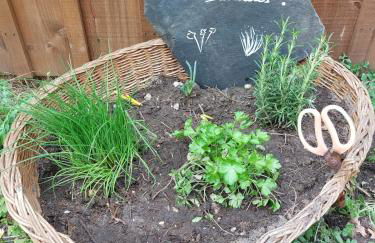 Gîte des Graves de Lilou - Foto 48