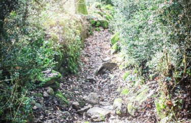 Gîte Le Rocher - Foto 20