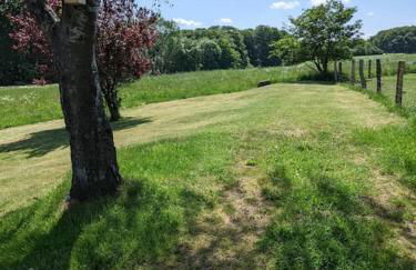 Auszeit Altenhorst, Bauernhaus - Foto 8