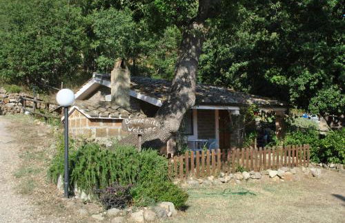 Azienda Agricola Biologica La Cardellina - Foto 1
