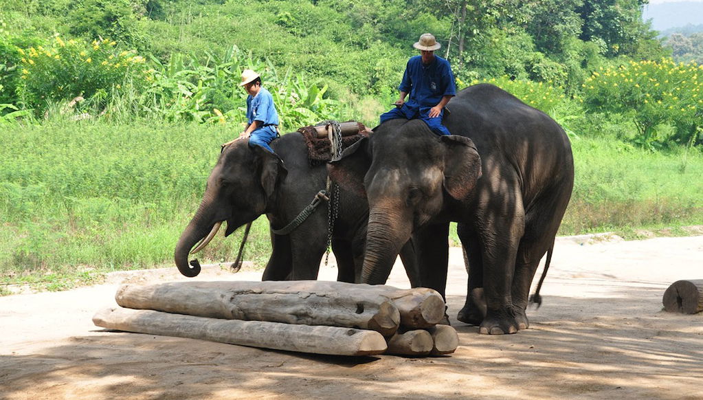 Ein Blick auf Lampang von Hotels in Chiang Mai City - Foto 1