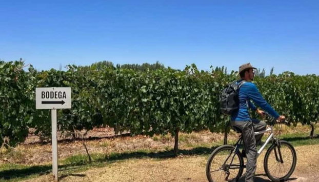 Maipú Bike Rental - Photo 4, Explore the Maipú Vineyards by Bike