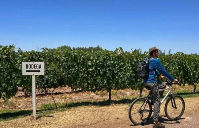 Alquiler de bicicleta en Maipú - Foto 8