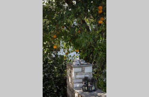 Aegean's Whispery Seafront Villa - Foto 17