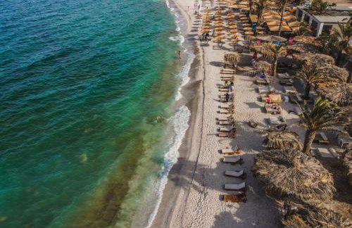 TIKI BEACH STUDIOS - Foto 6