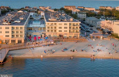 Luxurious Penthouse, King beds. Dog & ADA Friendly - Photo 19