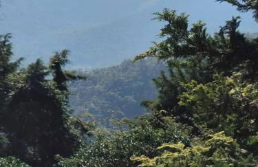 Apartamento Rústico Industrial nos Altos de Albuquerque - Photo 20