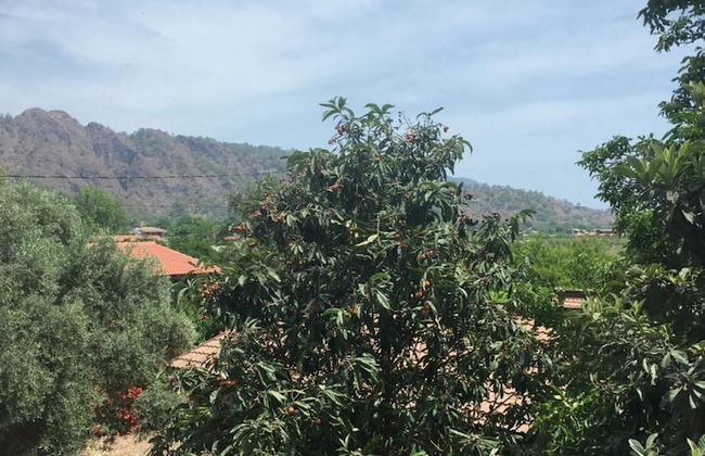 Villa Bilge - Foto 34