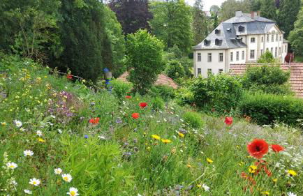 Ferienwohnung Parkblick - Foto 22