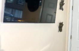 Sleep with a LION! 3 bedroom, near Downtown, Tremont, Ohio city!! - Foto 8