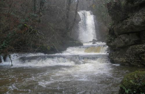 La Canaleja - Photo 23