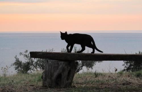 Holiday home Stella di Sicilia - Foto 20