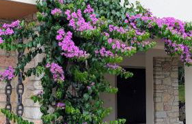 Lake Garda Renovated Apartment - Foto 31