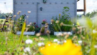 Magia Krutyni - Foto 3